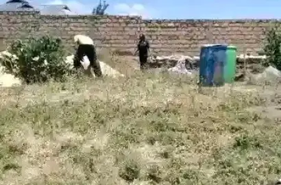Plot for sale.