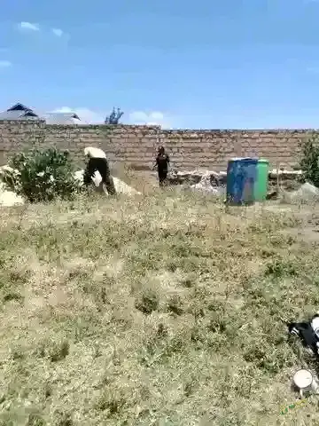 Plot for sale.