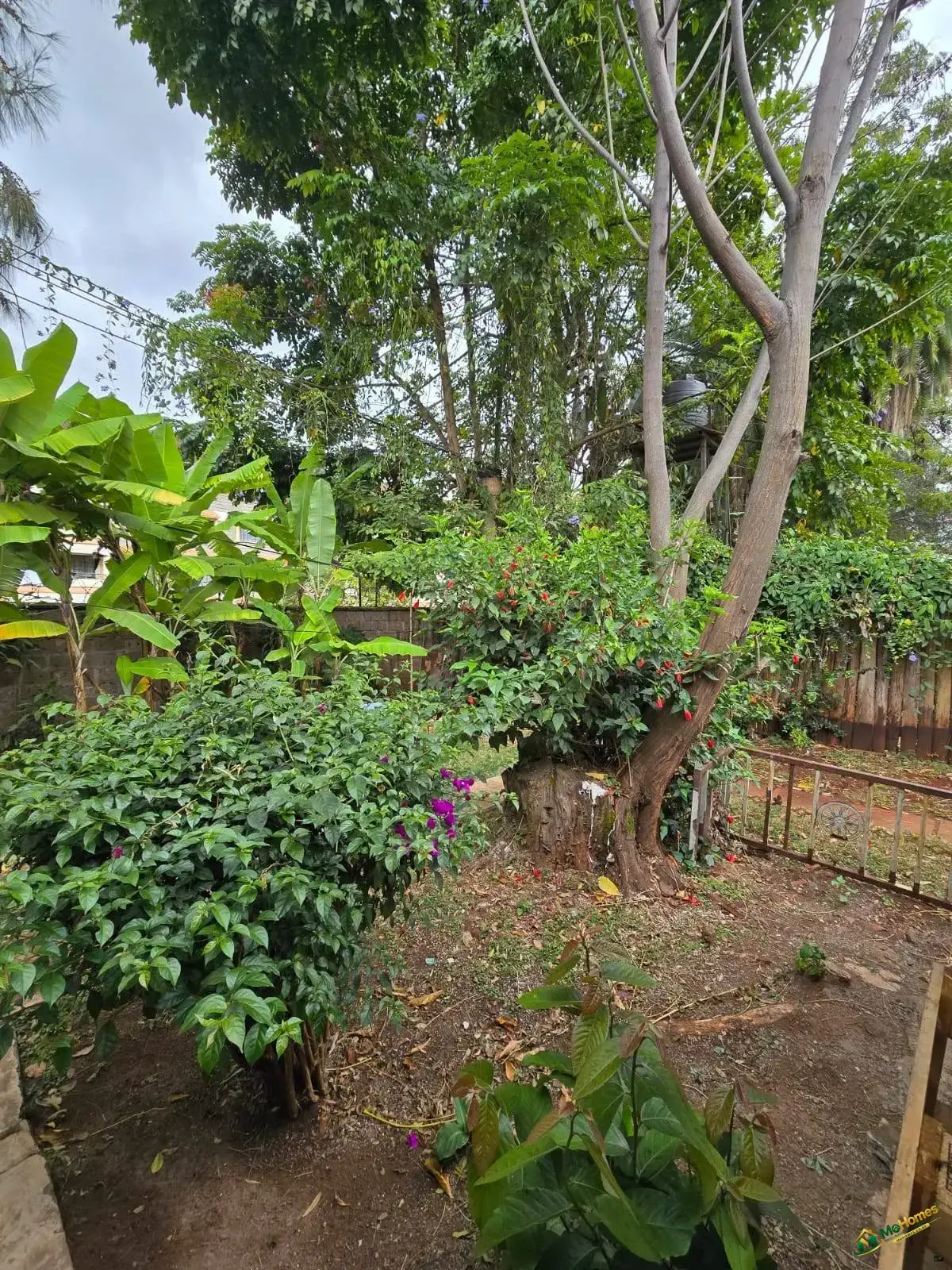 Spacious Westlands 3 Bedroom Maisonette With Private Garden