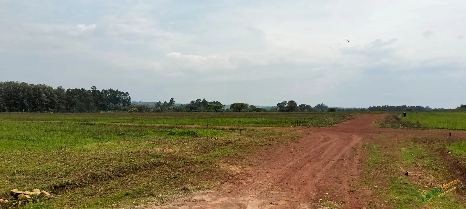 Forest Hill Estate – ¼ Acre Plots for Sale in Kitale