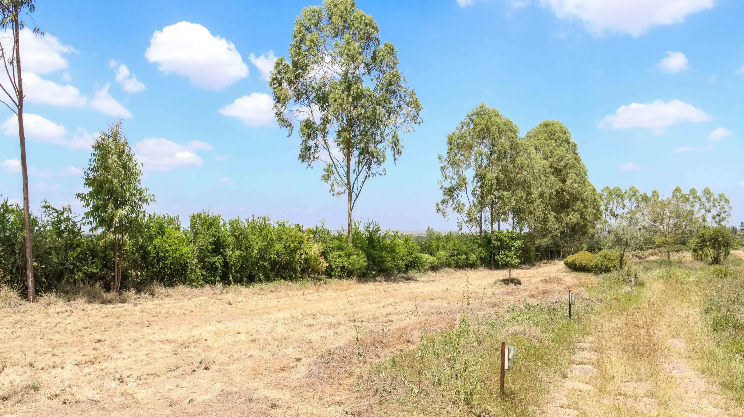 Acacia Phase 3 – 1/8 Acre Residential Plots for Sale in Kitengela
