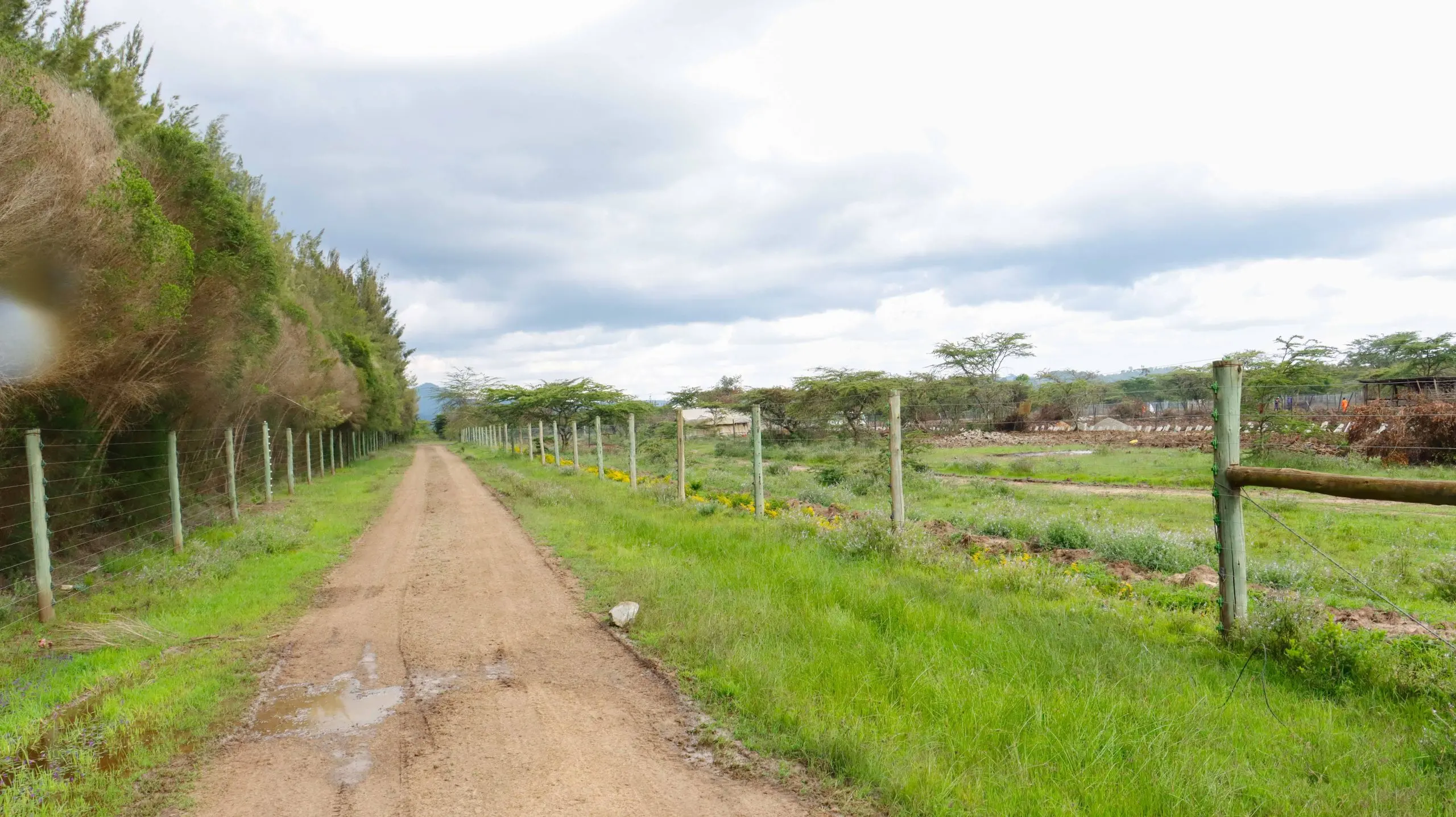 Chaka Ranch Homes – Luxury ¼ Acre Plots for Sale in Nyeri